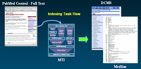 Image of Full text processing