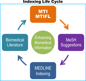 image is Indexing Life Cycle starting with Biomedical Text > MTI/MTIFL > MeSH Suggestions > MEDLINE Indexing > back to Biomedical Text.  In the center is a circle with Enhancing MEDLINE Access