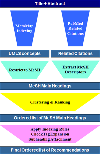 image is MTI NLM Medical Text Indexer Providing Indexing Assistance Since 2002 with three arrows on bottom signifying data flow. Biomedical Literature > MTI/MTIFL > MeSH Suggestions